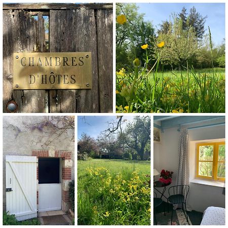 Chambres D'Hotes Les Renardieres Molineuf Exteriör bild