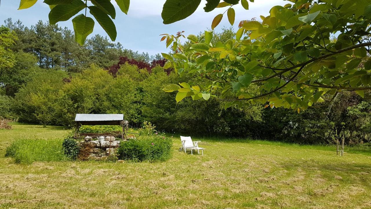Chambres D'Hotes Les Renardieres Molineuf Exteriör bild